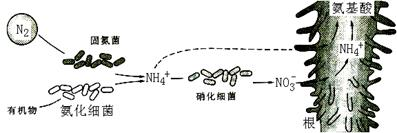 国产亚洲欧美一区：深入解析腐蚀防护技术：提升工业设备使用寿命