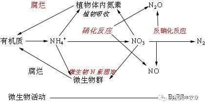 国产成人精品无码免费播：保障安全，化解危